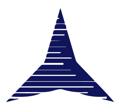 Vega Telecomunicazioni logo